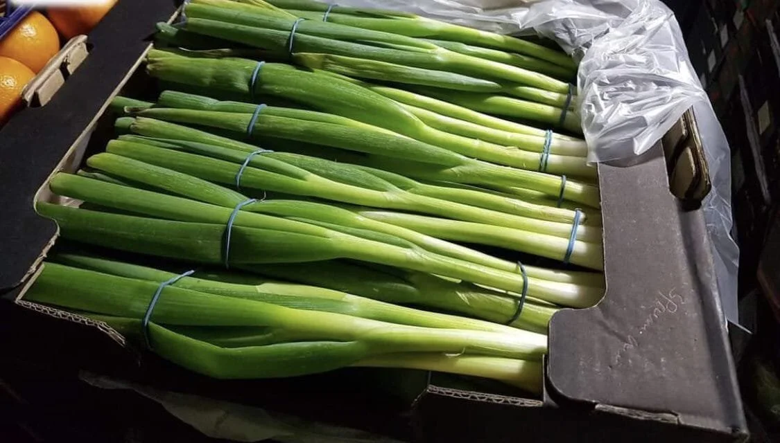 بصل اخضر 1 باكيت - الصورة 2