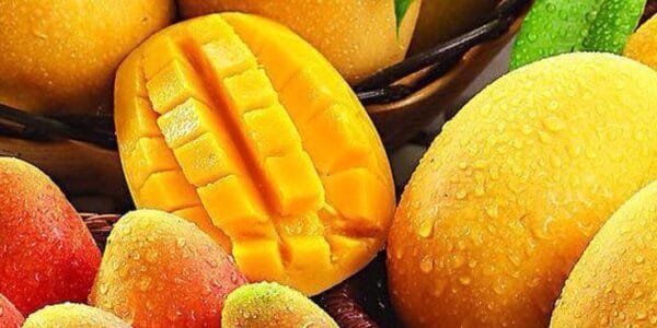 Mango Fuss 1 Kg - Image 4