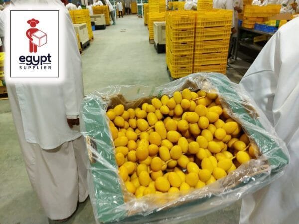 Dates Barhi 1 Kg - Image 2