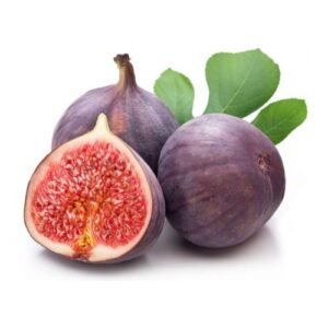 Figs 1 Kg