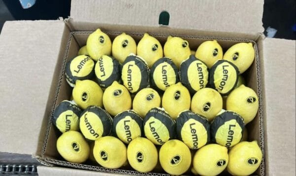 Lemon 500 Grams - Image 2