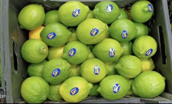 Lemon 500 Grams - Image 3