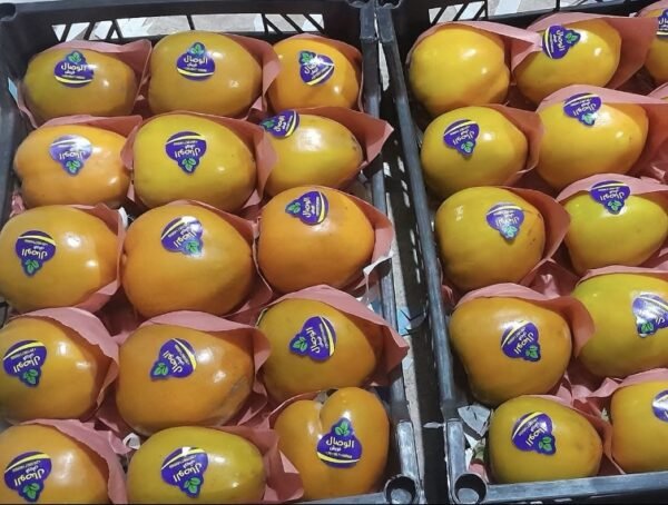 Egyptian Fresh Persimmons