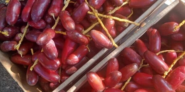 Red Dates 1 Kg - Image 2