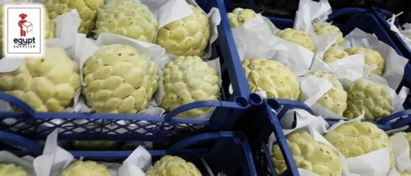 Custard Apple 500 Gram - Image 2