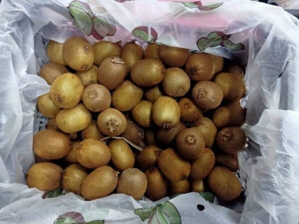 Fresh Kiwi 500 Grams - Image 3
