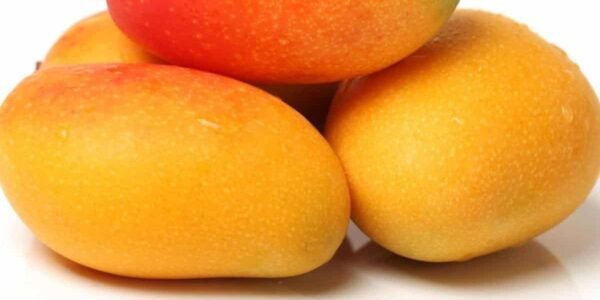 Mango Yasmina 1Kg - Image 4