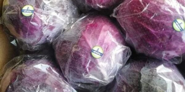 Red Cabbage 1 Piece - Image 3