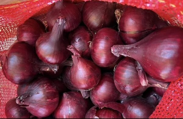 Red Onion 1 Kg - Image 3