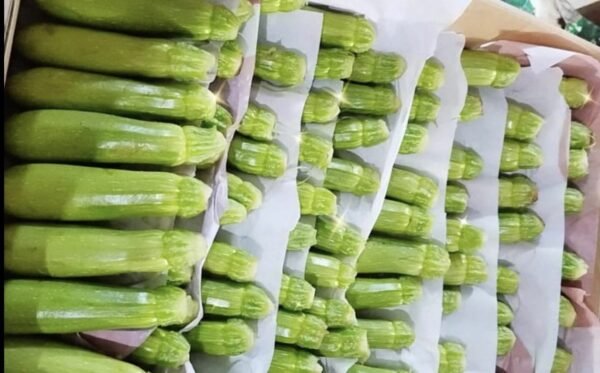 Zucchini 1 Kg - Image 4