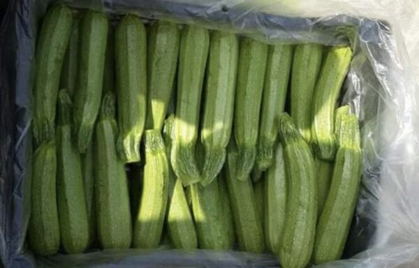 Zucchini 1 Kg - Image 2