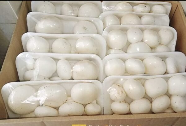 Mushrooms 200g - Image 2