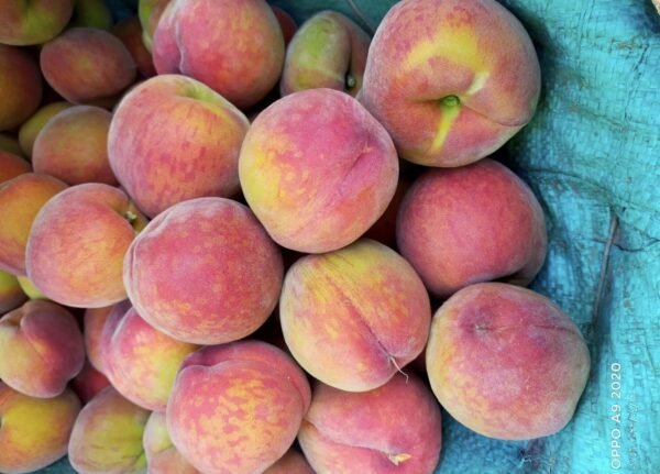 Peach 1 Kg - Image 2