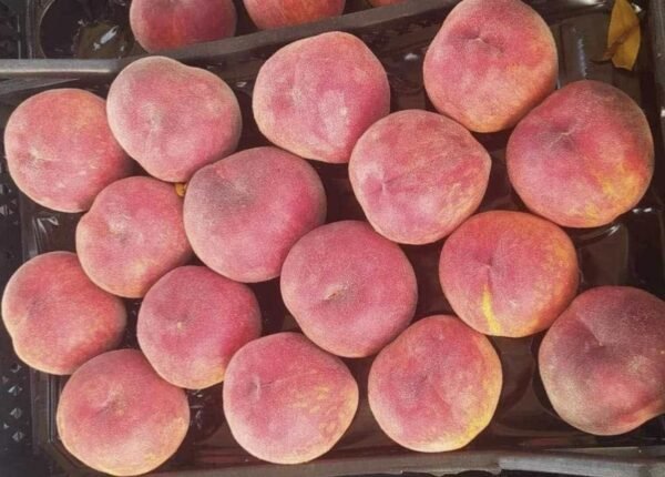 Peach 1 Kg - Image 4