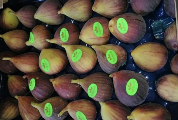 Figs 1 Kg - Image 3
