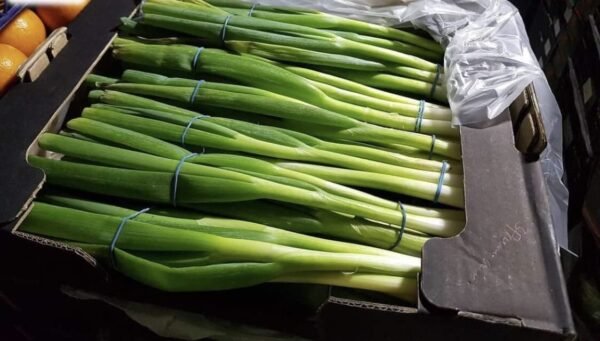 Green Onion 1 bunch - Image 2