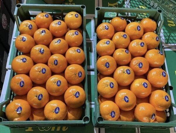 Mandarin 1 Kg - Image 2