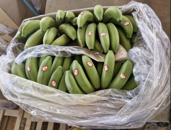 Banana Balady 1 Kg - Image 3