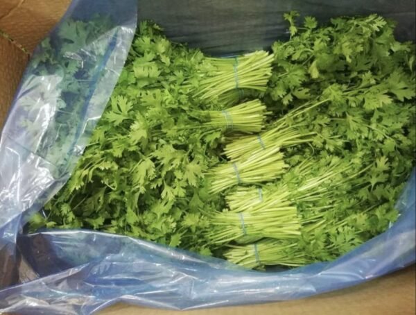 Parsley 1 Bunch - Image 2