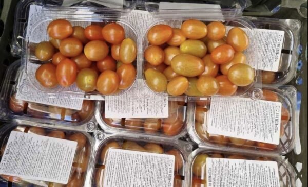 Cherry Tomato 500g - Image 2