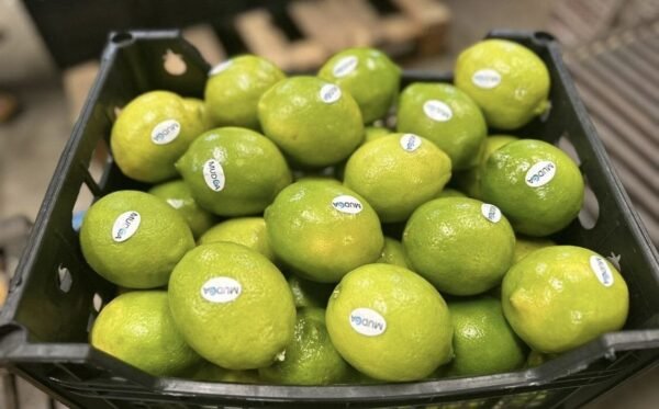 Lime 500 Grams - Image 2