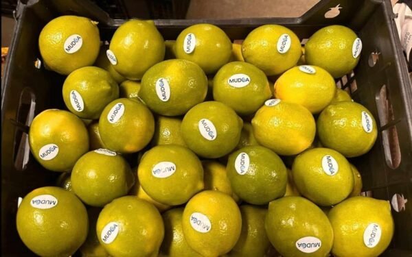 Lime 500 Grams - Image 3